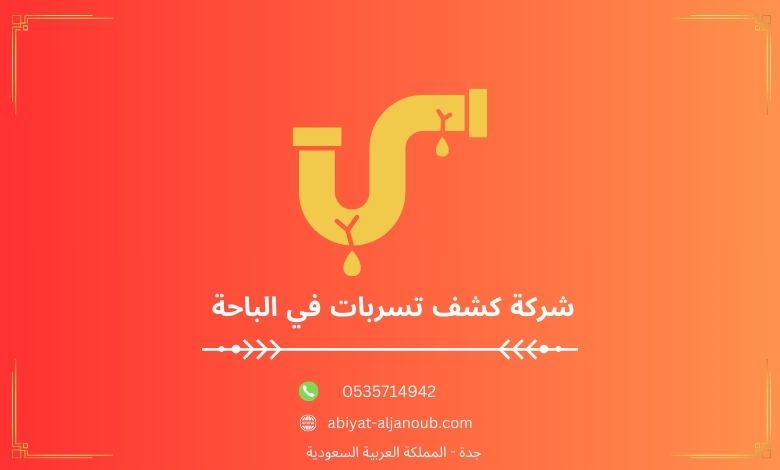 شركة كشف تسربات في الباحة 